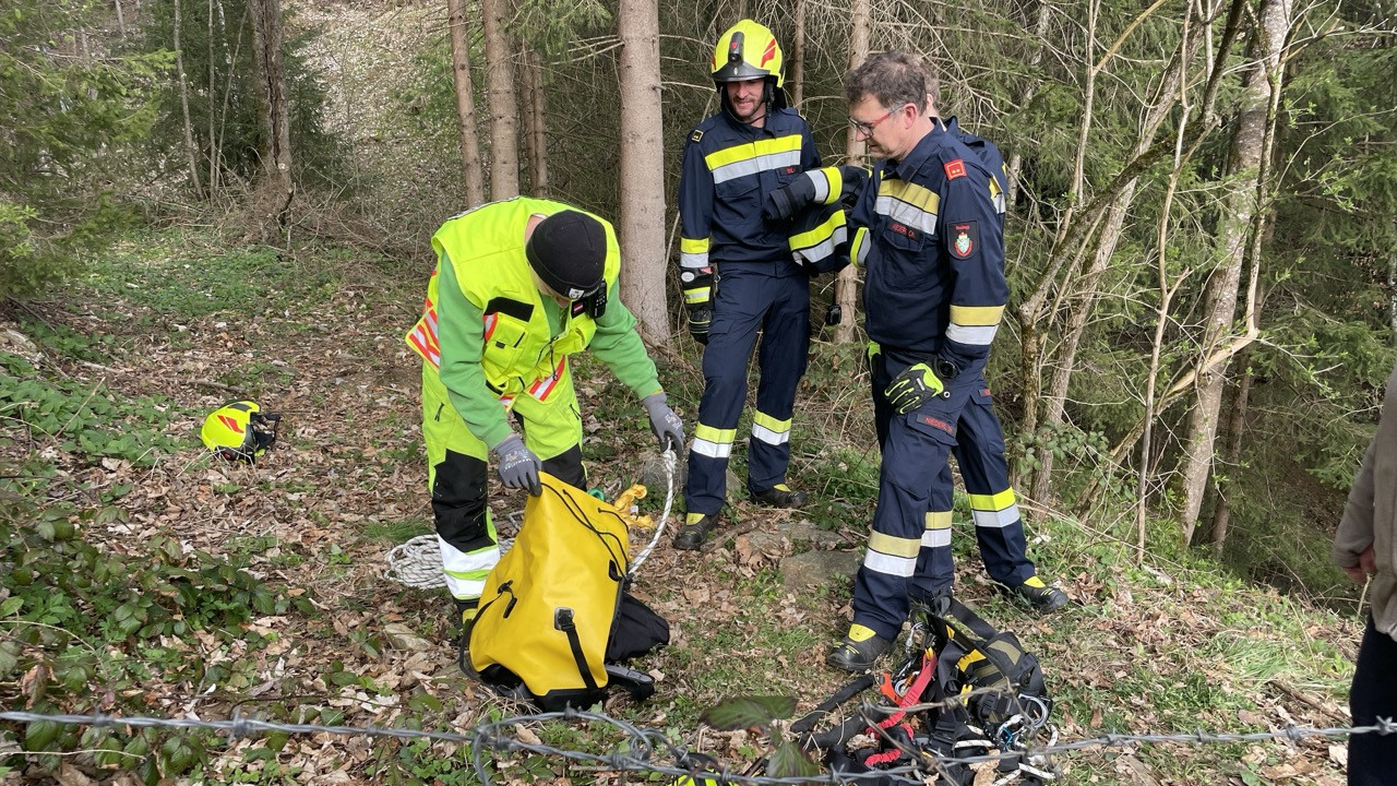 025/24 - TK HÖR - Kater auf Baum Unterstützung FF