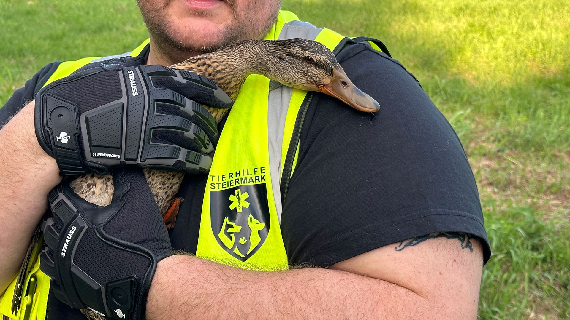 072/24 - WV - Technische Entenrettung 🆘🦆